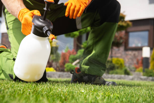 Best Ant Control Services  in Parrish, AL