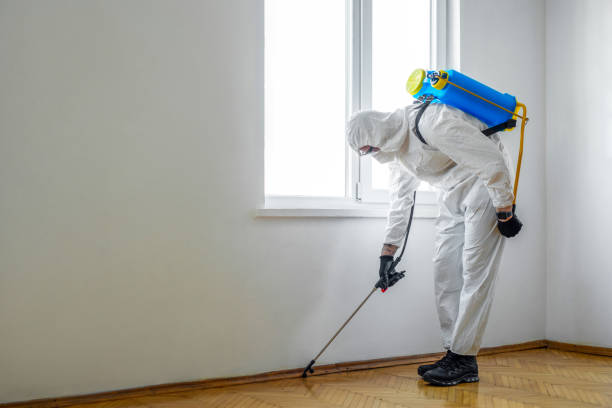 Best Bed Bug Extermination  in Parrish, AL