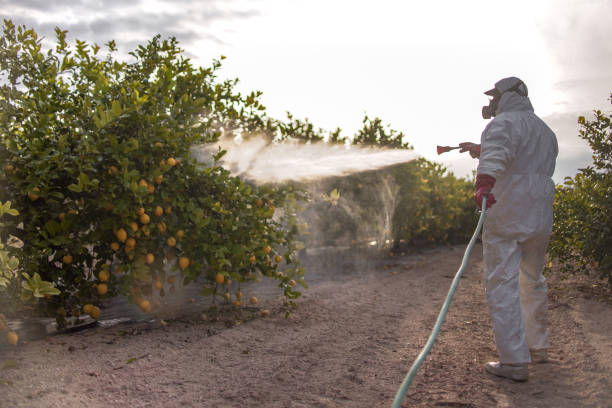 Best Pest Prevention Services  in Parrish, AL
