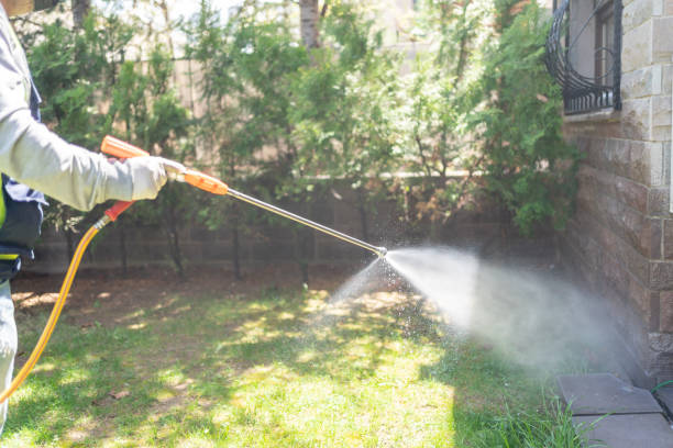 Best Spider Control Near Me  in Parrish, AL