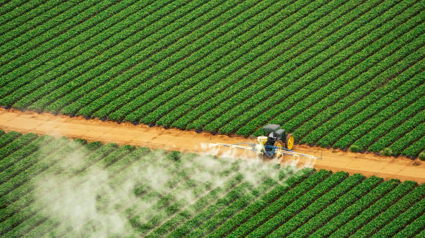 Pest Prevention Services in Parrish, AL