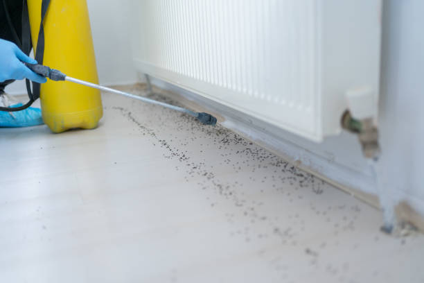 Best Mosquito Control Services  in Parrish, AL