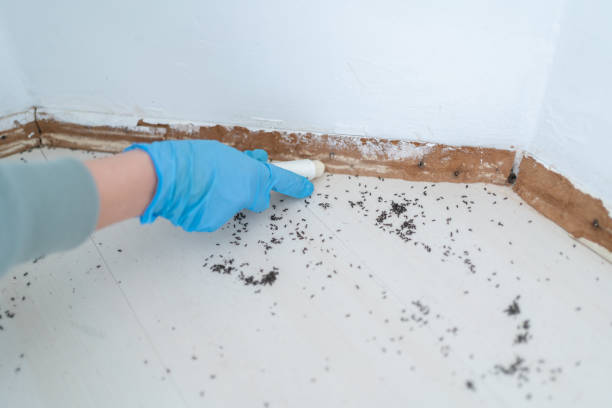 Best Pest Inspection Near Me  in Parrish, AL