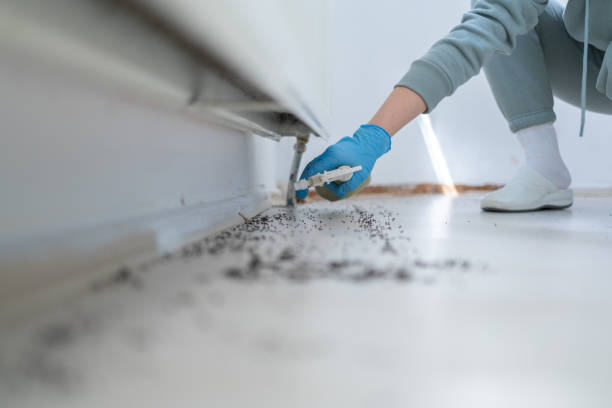 Best Exterminator Services  in Parrish, AL